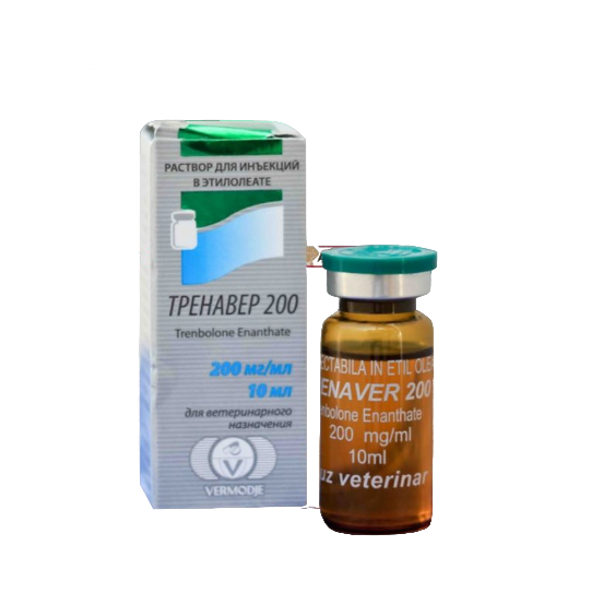 12 (16)-no-bg-preview (carve.photos)